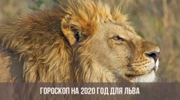 Horoskop für 2020 für Leo
