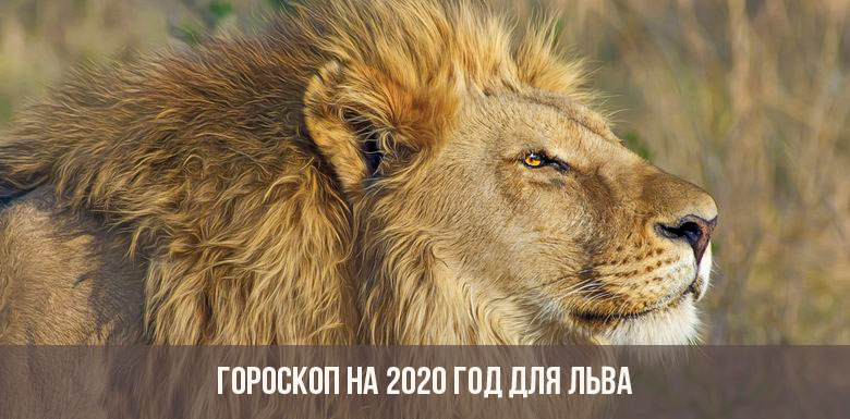 Horoskop für 2020 für Leo