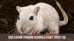 Was wird das Zeichen des Tierkreises 2020 sein