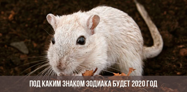 Was wird das Zeichen des Tierkreises 2020 sein