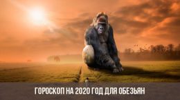 Horoskop für 2020 für die Affen