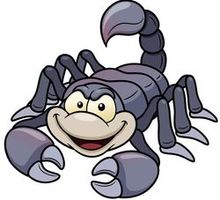 2020 Geldhoroskop für Skorpione