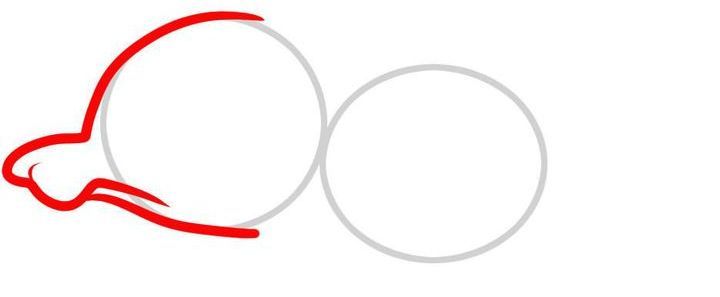 Wie die Ratte etappenweise zu zeichnen