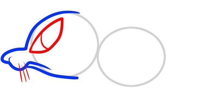 Wie die Ratte etappenweise zu zeichnen