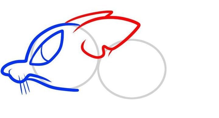 Wie die Ratte etappenweise zu zeichnen