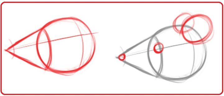 Wie zeichnet man eine Ratte