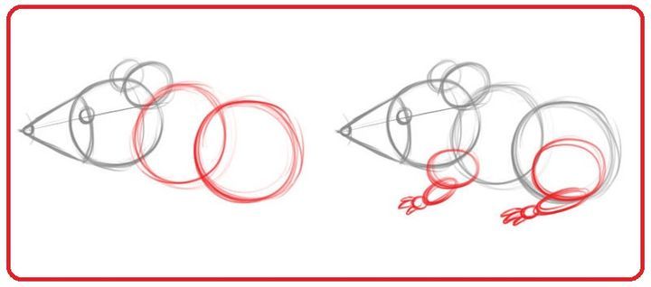 Wie zeichnet man eine Ratte