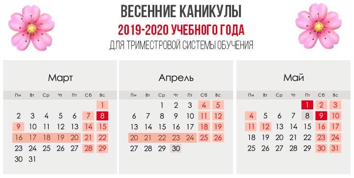 Spring Break 2020 mit einem Drei-Meter-System