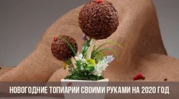 Neujahrs-Topiary für das neue Jahr 2020