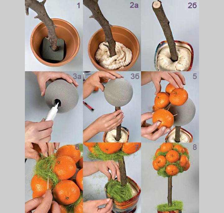 Neujahr Mandarin Topiary