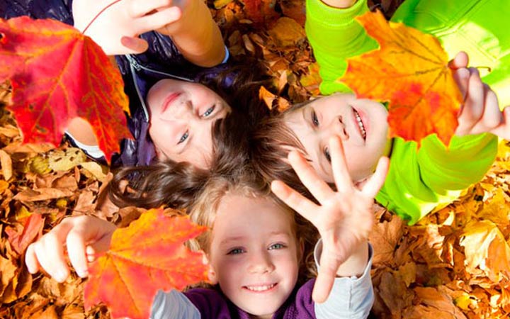 Daten der Herbstferien des Schuljahres 2019-2020