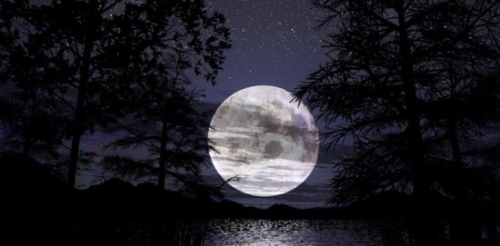 Vollmond zwischen den Bäumen