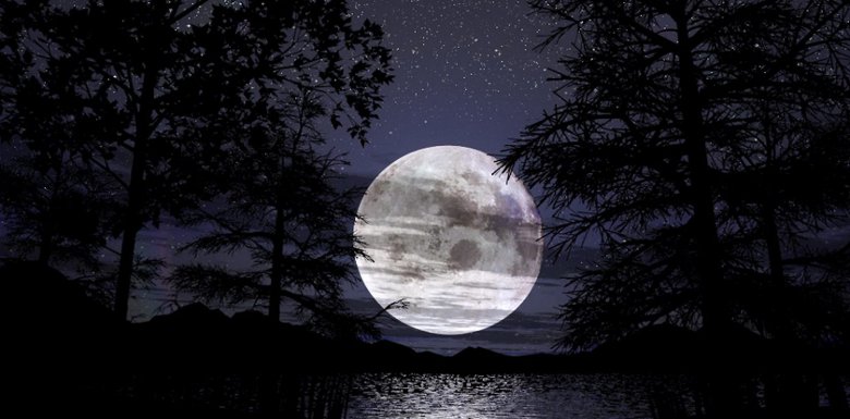 Vollmond zwischen den Bäumen