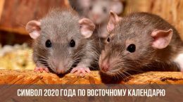 Symbol des Jahres 2020 auf dem Ostkalender