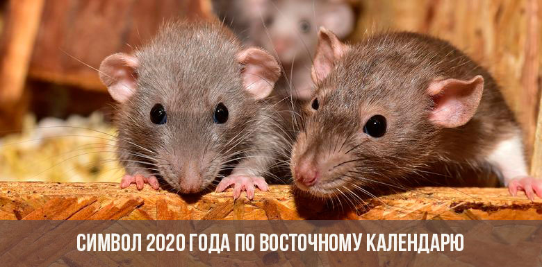 Symbol des Jahres 2020 auf dem Ostkalender