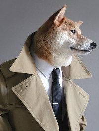 Hund in einer Krawatte