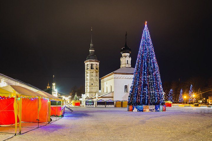 baum auf dem hauptplatz von suzdal