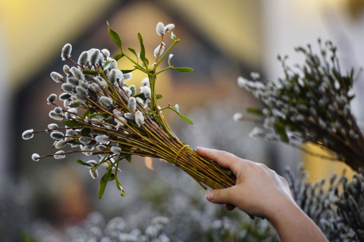 Strauß Weidenruten in der Hand