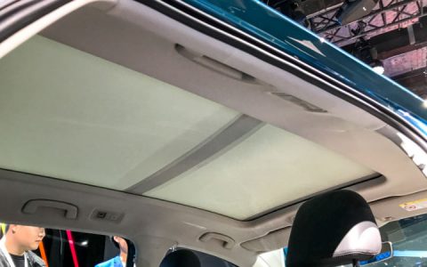 Panoramadach Volkswagen Tharu (Tarek) 2020 für Russland