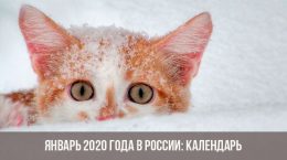 Januar 2020 in Russland: Kalender, Feiertage, Wochenenden