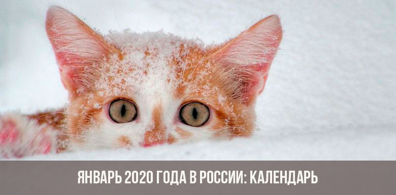 Januar 2020 in Russland: Kalender, Feiertage, Wochenenden