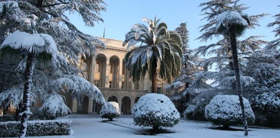 Neues Jahr 2020 in Abchasien