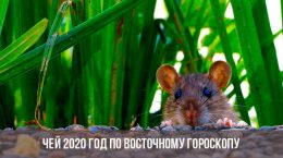 Wessen ist 2020 nach dem Osthoroskop