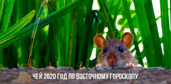 Wessen ist 2020 nach dem Osthoroskop