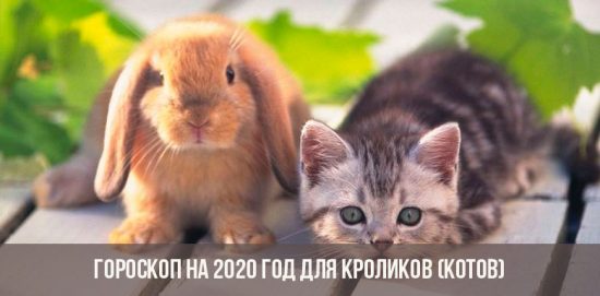 Horoskop für 2020 für Kaninchen (Katzen)