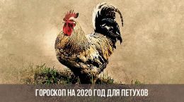 Horoskop für 2020 für die Hähne