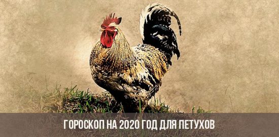 Horoskop für 2020 für die Hähne