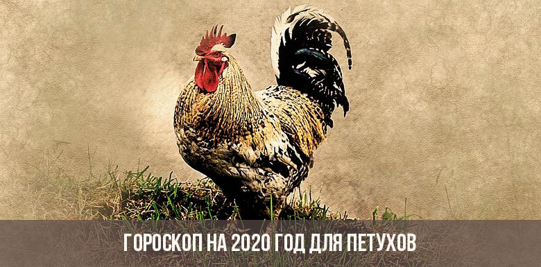 Horoskop für 2020 für die Hähne