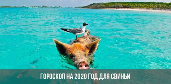 Horoskop für 2020 für das Schwein