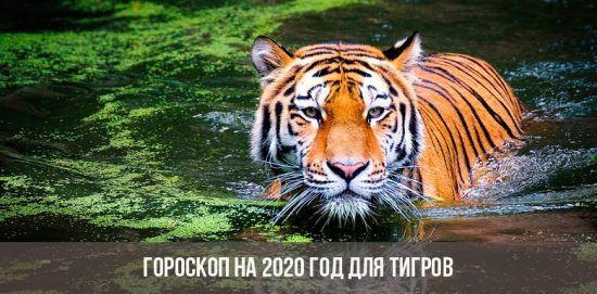 Horoskop für 2020 für die Tiger