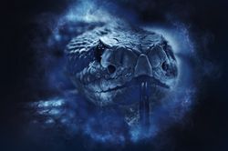 Finanzhoroskop 2020 für die Schlangen