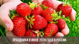 Feiertage im Juni 2020