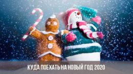 Wohin für das neue Jahr 2020?