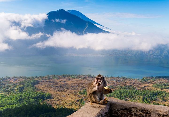 Neues Jahr 2020 in Bali
