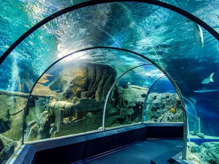 Sotschi Entdeckungswelt