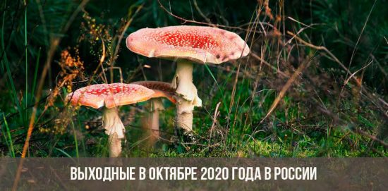 Wochenenden und Feiertage im Oktober 2020