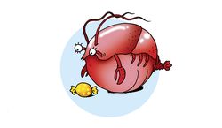 Komisches Horoskop für 2020 für Krebs