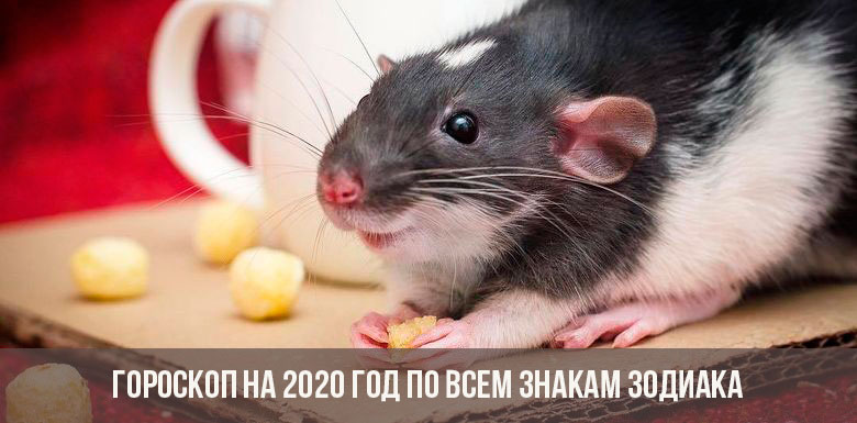 Comic-Horoskop für 2020 für alle Sternzeichen