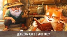 Brownie Day im Jahr 2020