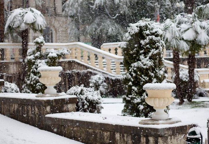 Neues Jahr in Sotschi