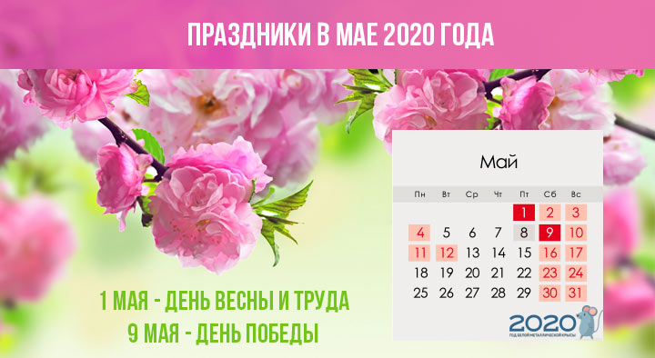 Mai 2020 Kalender