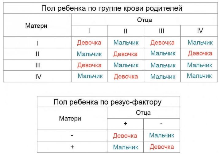 Planung des Geschlechts eines Kindes nach Blutgruppe der Eltern