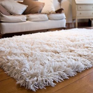 Langflorteppich im Innenraum von 2020