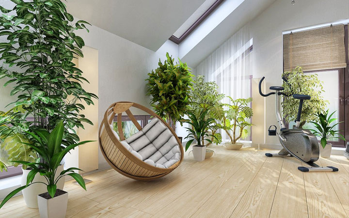 Pflanzen im Innenraum - Trend 2020