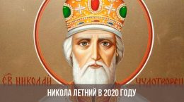 Nikola Sommer im Jahr 2020