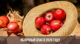 Apple sparte im Jahr 2020